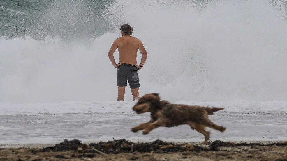 a man and a dog on a beach with stormy waves.