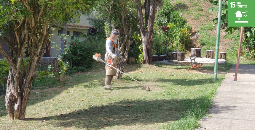 Portal de Notícias PJF | PJF atende a 18 bairros com serviços de limpeza e poda de grama em três dias | EMPAV - 24/8/2023