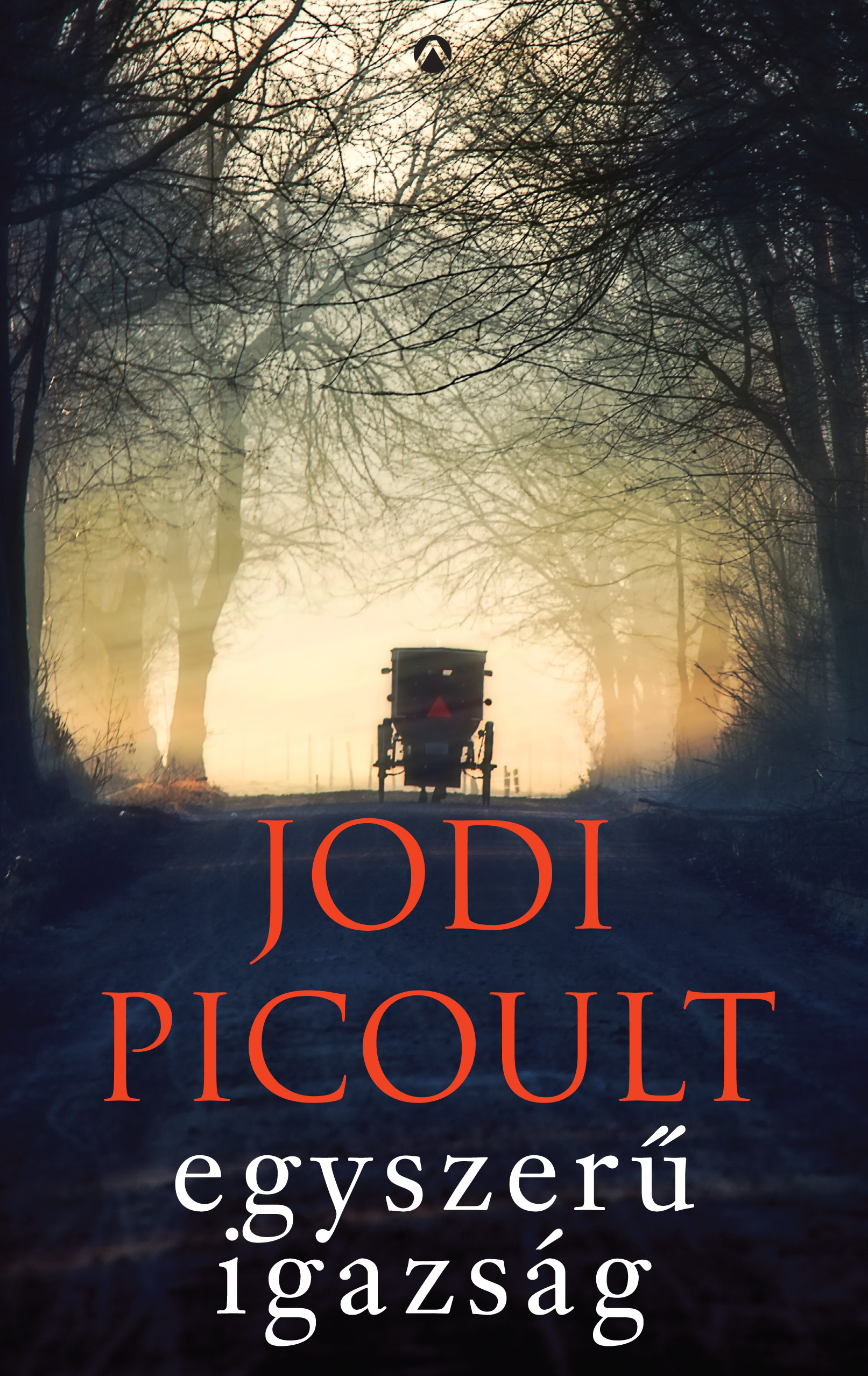 Jodi Picoult: Egyszerű igazság