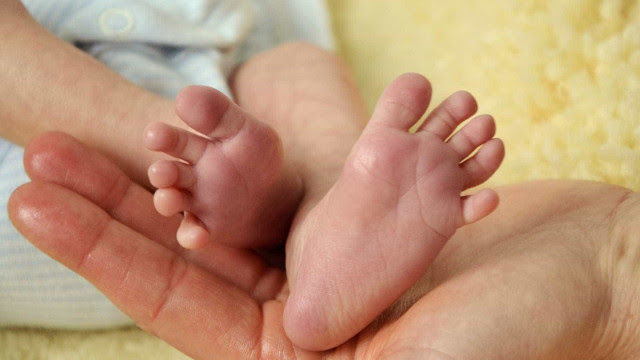 Mulher dá à luz trigêmeos dez meses após ter gêmeos em Santa Catarina