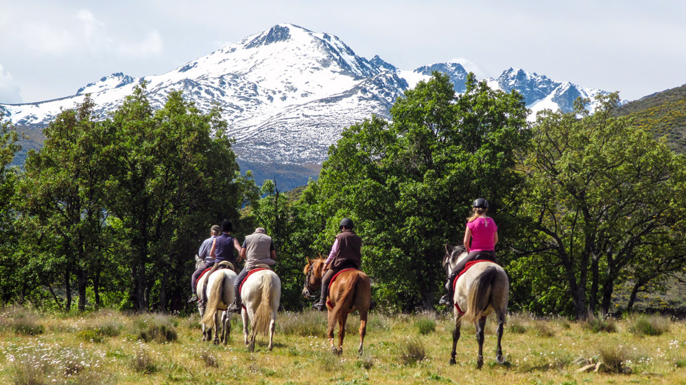 horse riding holiday
