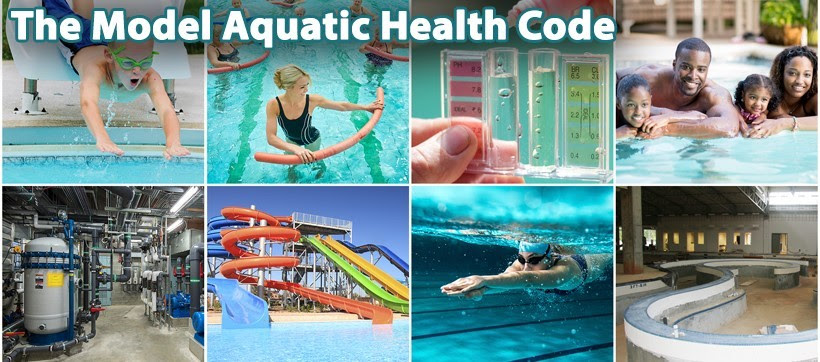 Collage of swimming images
