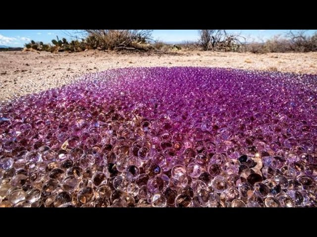 The 10 Strangest Things Found in the Desert  Sddefault