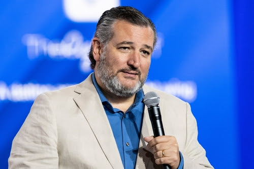 Ted Cruz Gives New TITLE To Newsmax - Watch It Here