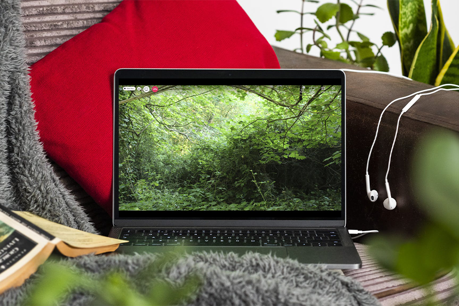 A laptop which displays an image of what looks like a green forest. The laptop is placed on what looks like a couch with a red cushion behind the laptop.