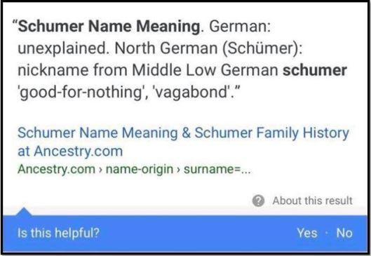 schumer meaning