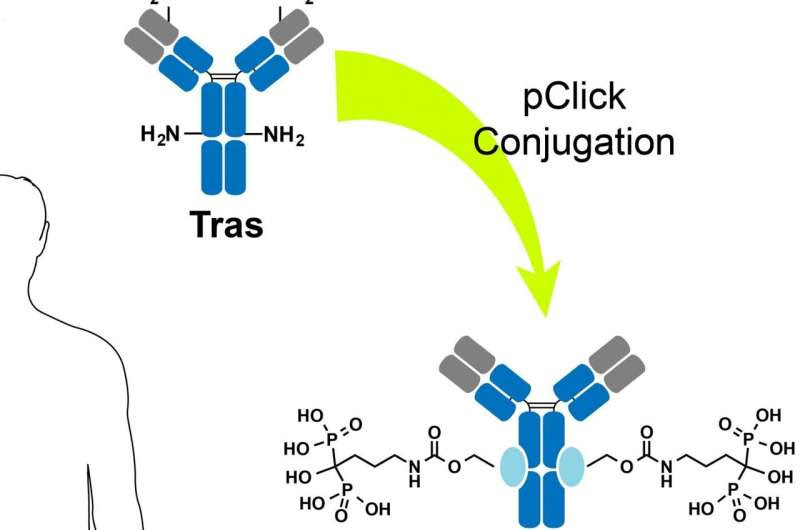 Drug doubles down on bone cancer, metastasis