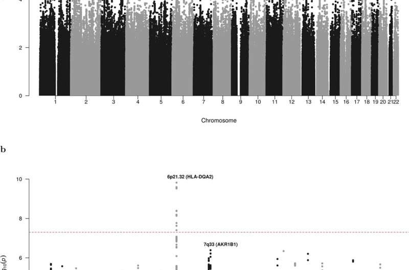 Study identifies genetic risk factors for leukemia