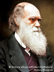 Charles Darwin (picture-alliance/Bildarchiv/Natural History Museum) Charles Darwin (picture-alliance/Bildarchiv/Natural History Museum)