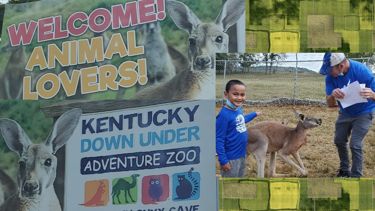 Fun for the whole family. Have you pet a KANGAROO?KENTUCKY DOWN UNDER ADVENTURE ZOO LYNNE