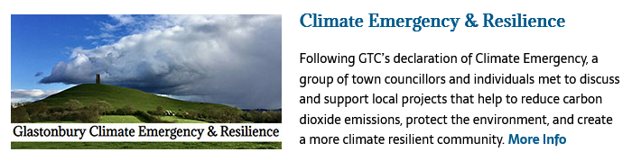 Climate Emergency panel on Glastonbury TOwn Council home page