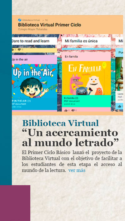 Biblioteca Virtual “Un acercamiento al mundo letrado”