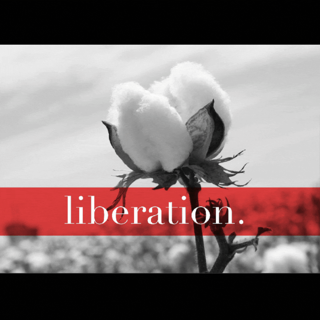 Gif flashing between the words 'liberation - revelation - reparation - download the Juneteenth Haggadah''