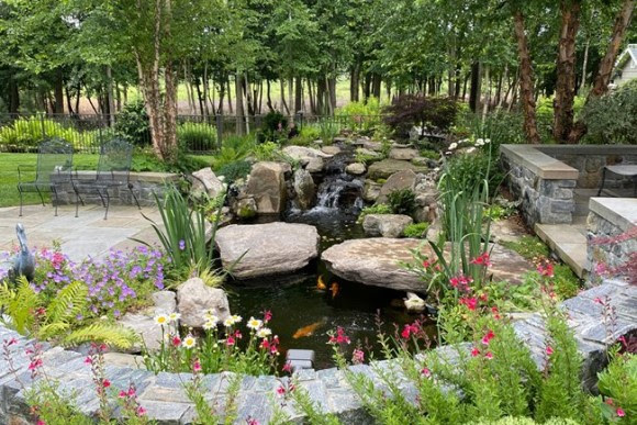 Wildlife pond landscape design