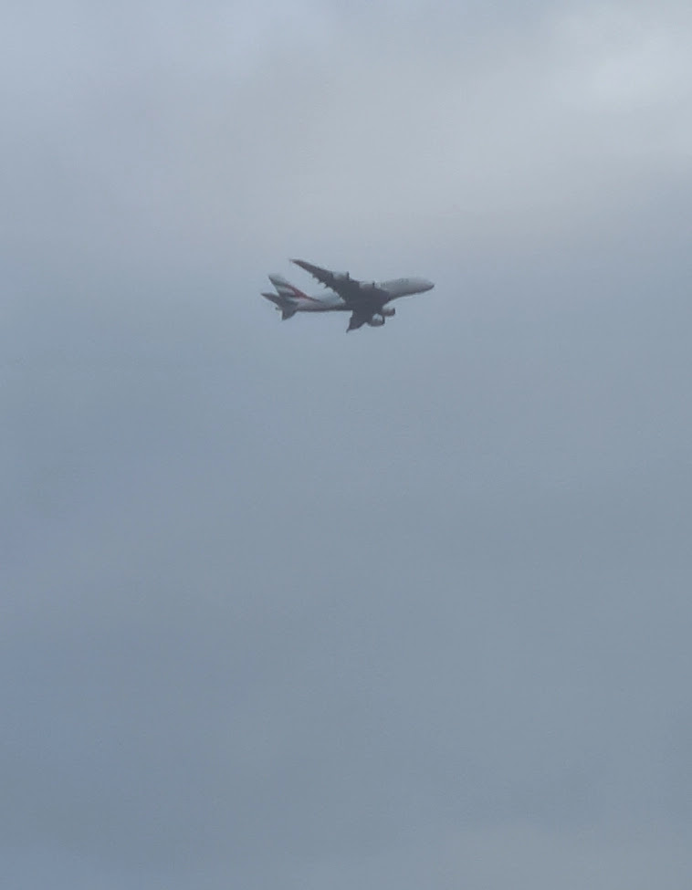 Азия. Среда. Азия. Среда.