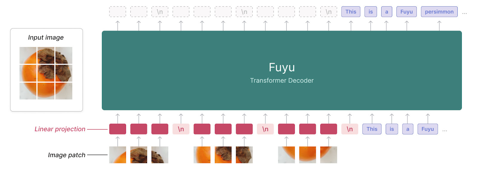 Fuyu-8B: A simple, superfast multimodal model for AI agents