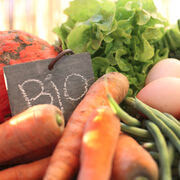 Sur-marges sur les fruits et légumes bio  - La grande distribution matraque toujours les consommateurs !