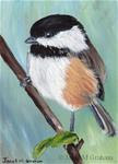 Black Capped Chickadee ACEO - Posted on Monday, January 26, 2015 by Janet Graham