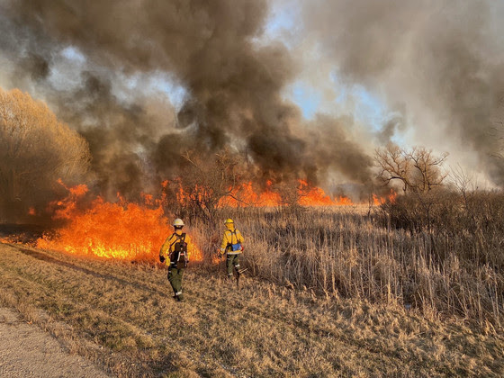 DNR firefighters patrolling the line of a wildfire.