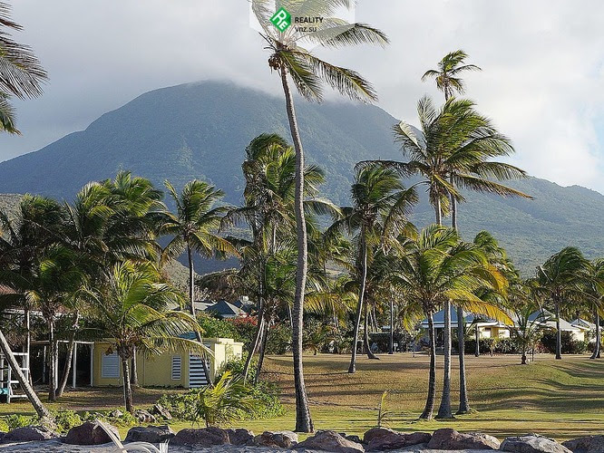 Гражданство Сент Китс и Невис vnz.su/programms/st-kitts-nevis-citizenship-by-investment-program