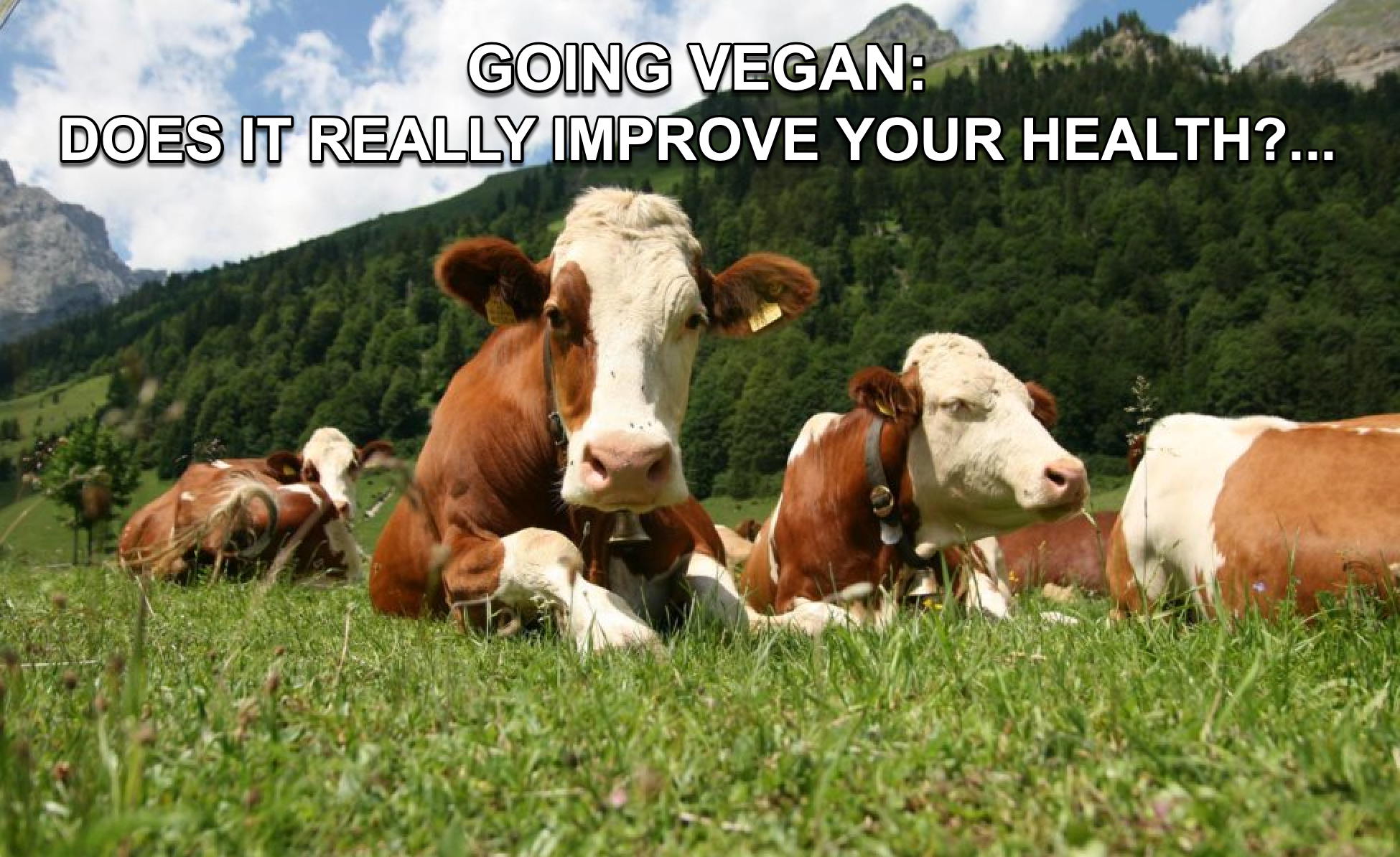   GOING VEGAN: DOES IT REALLY IMPROVE YOUR HEALTH?