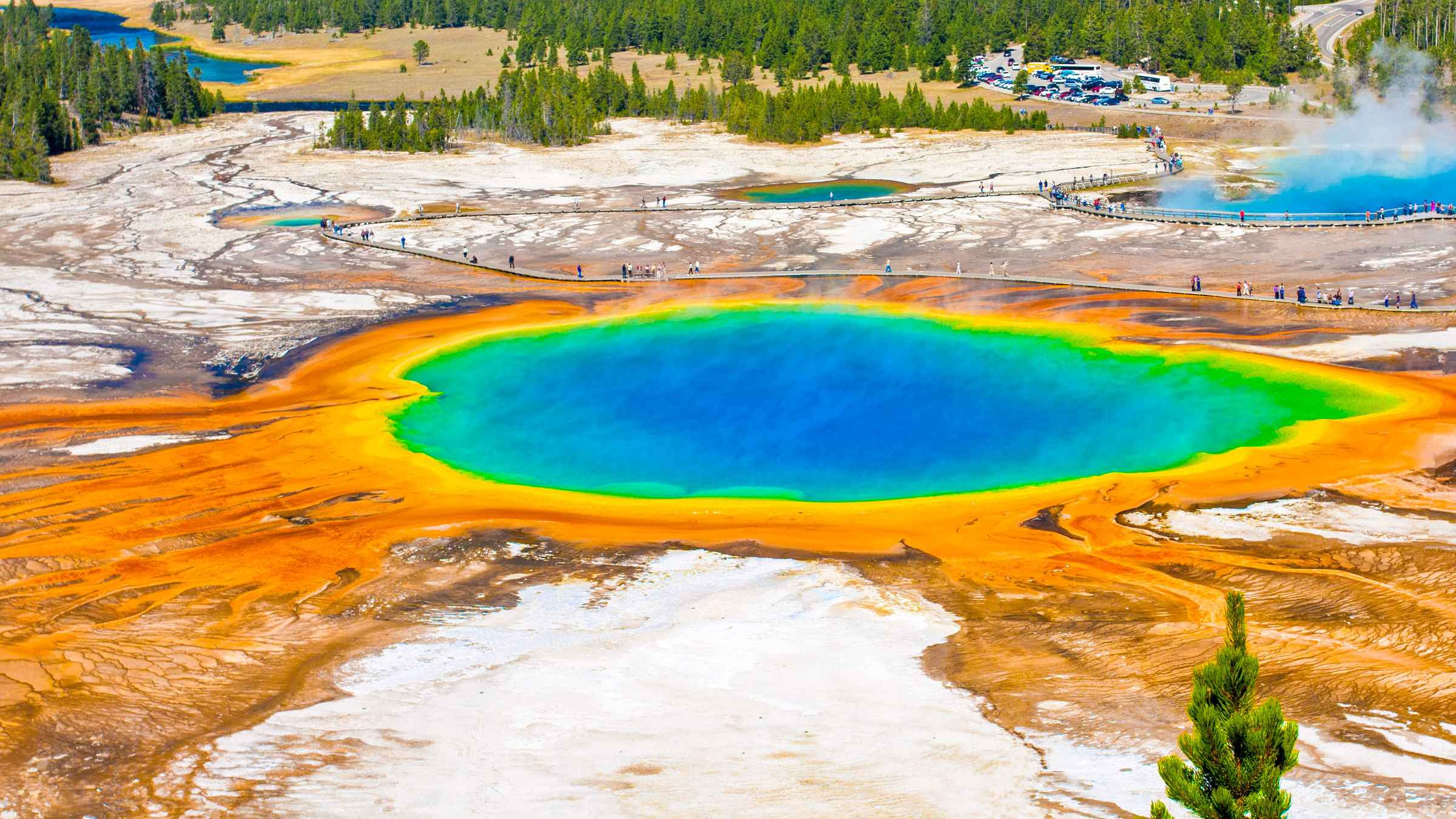 Congress with the yellowstone national park protection act and signed into law by president ulysses s. Yellowstone National Park, Top Things to do in 2021 Book Tickets