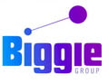 biggie-group-logo
