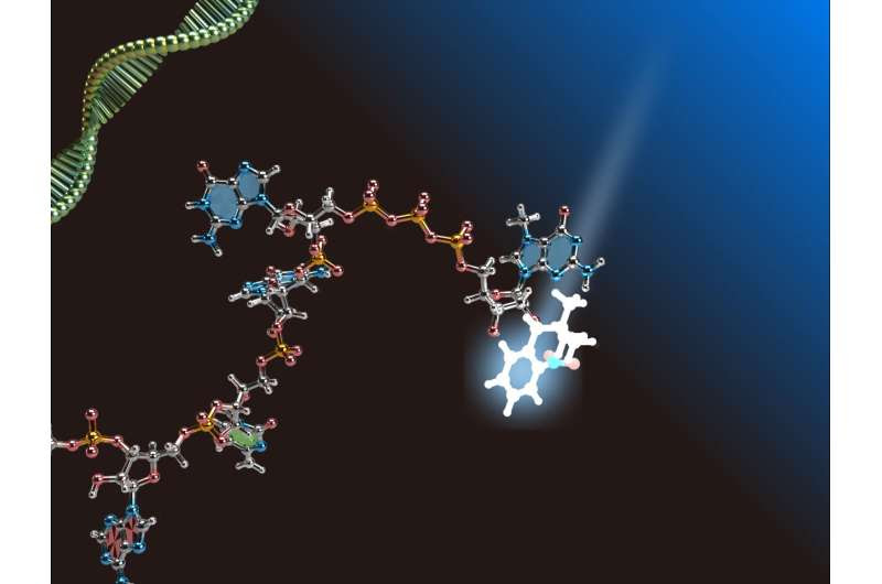 Pure capped mRNA vaccine opens the door to more effective vaccines with lower chances of inflammation