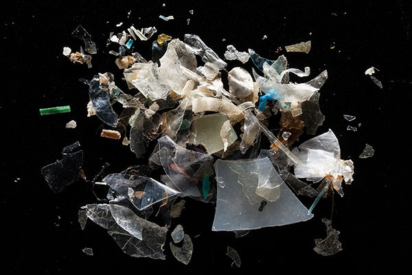 Microplastics from the Magothy River are pictured at the laboratory of Dr. Lance Yonkos at the University of Maryland.