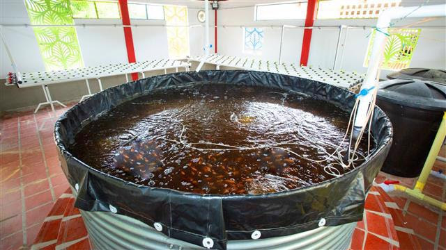 C.R.A. inauguró segunda Ecoescuela en Sabanagrande 43 boletines@crautonoma.gov.co