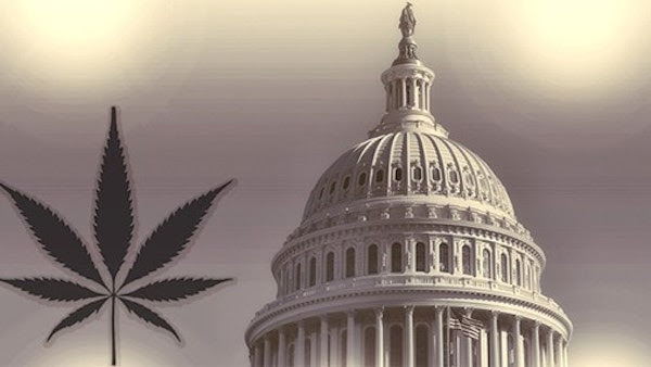 Top Political Figures Are Pushing The U.S. Federal Government To Deschedule Cannabis