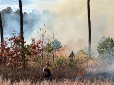 Rangers in the field conducting and monitoring prescribed fire