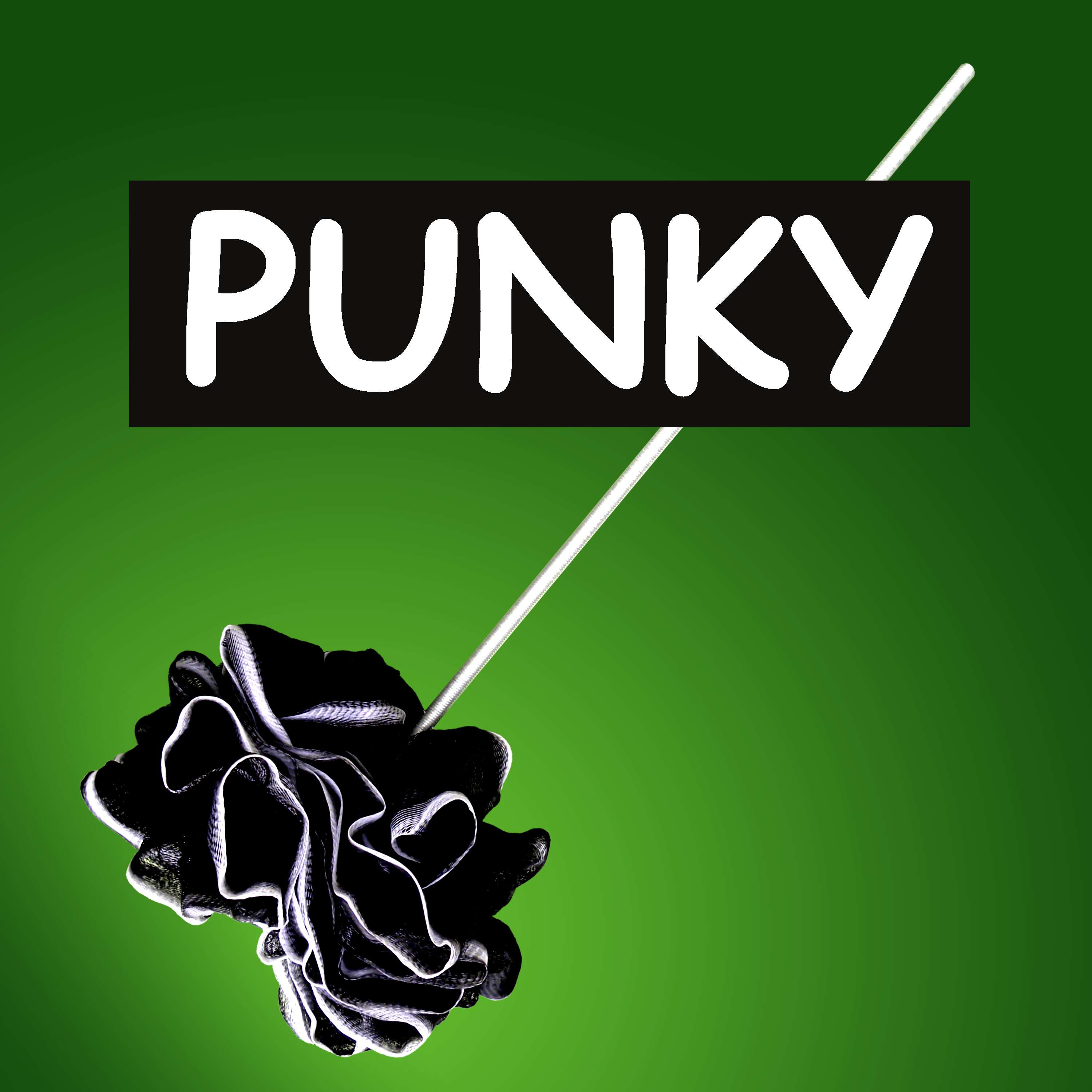 Der neue PUNKY Schaumquirl