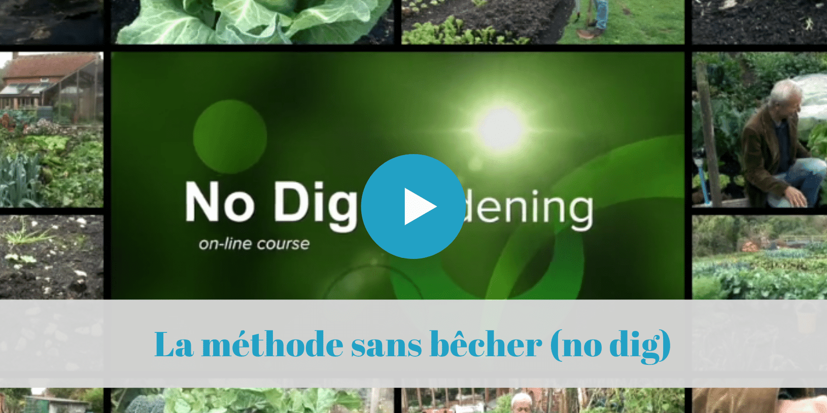 permaculture, no dig, jardinage, formation, en ligne, dowding