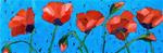 Poppy Line - Posted on Thursday, February 26, 2015 by Mary Anne Cary