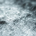 Land Rover BAR present sustainability work at World Yacht Racing Forum