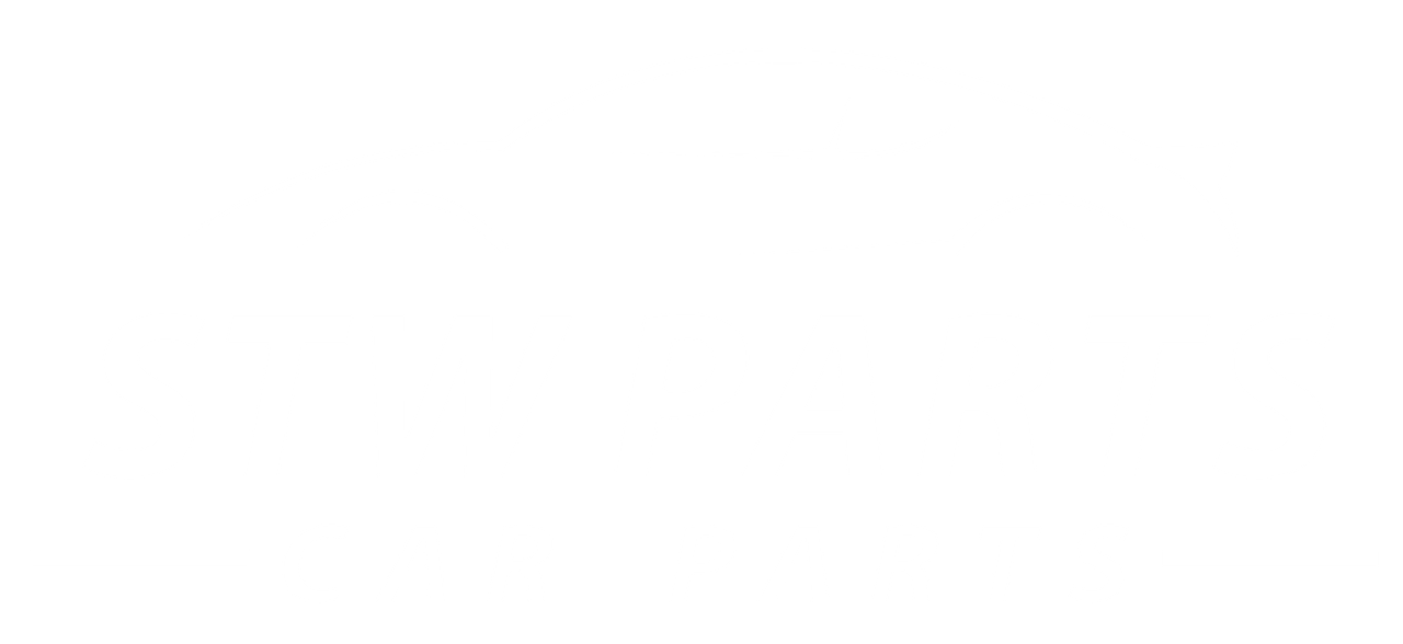 White car logo