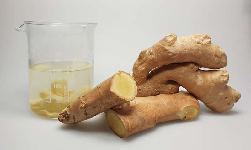 Pungent ginger compound puts immune cells on heightened alert