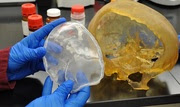 cranial