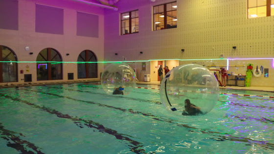 Photo of students in hamster balls in the pool.