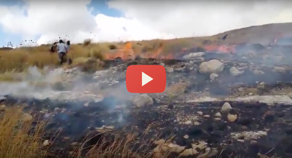 Arab-arson-attacks