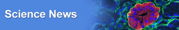 science news