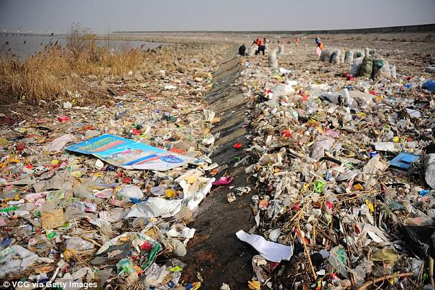 China's Yangtze River was the worst polluter, and ferries some 1.5 million tonnes of plastic into the Yellow Sea every year, the study found. Pictured, workers clear rubbish in Taicang reach of Yangtze River on December 23, 2016 in Taicang, Jiangsu Province of China.