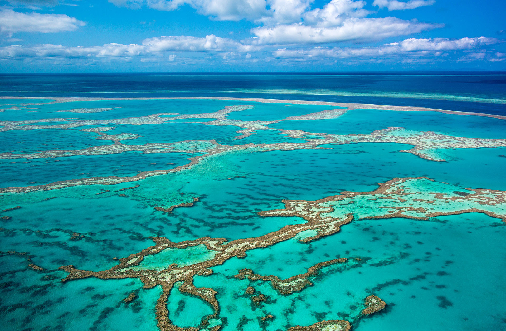 La Gran Barrera de Arrecifes situada en el noreste australiano es considerada el mayor sistema coralino del mundo (Getty Images)