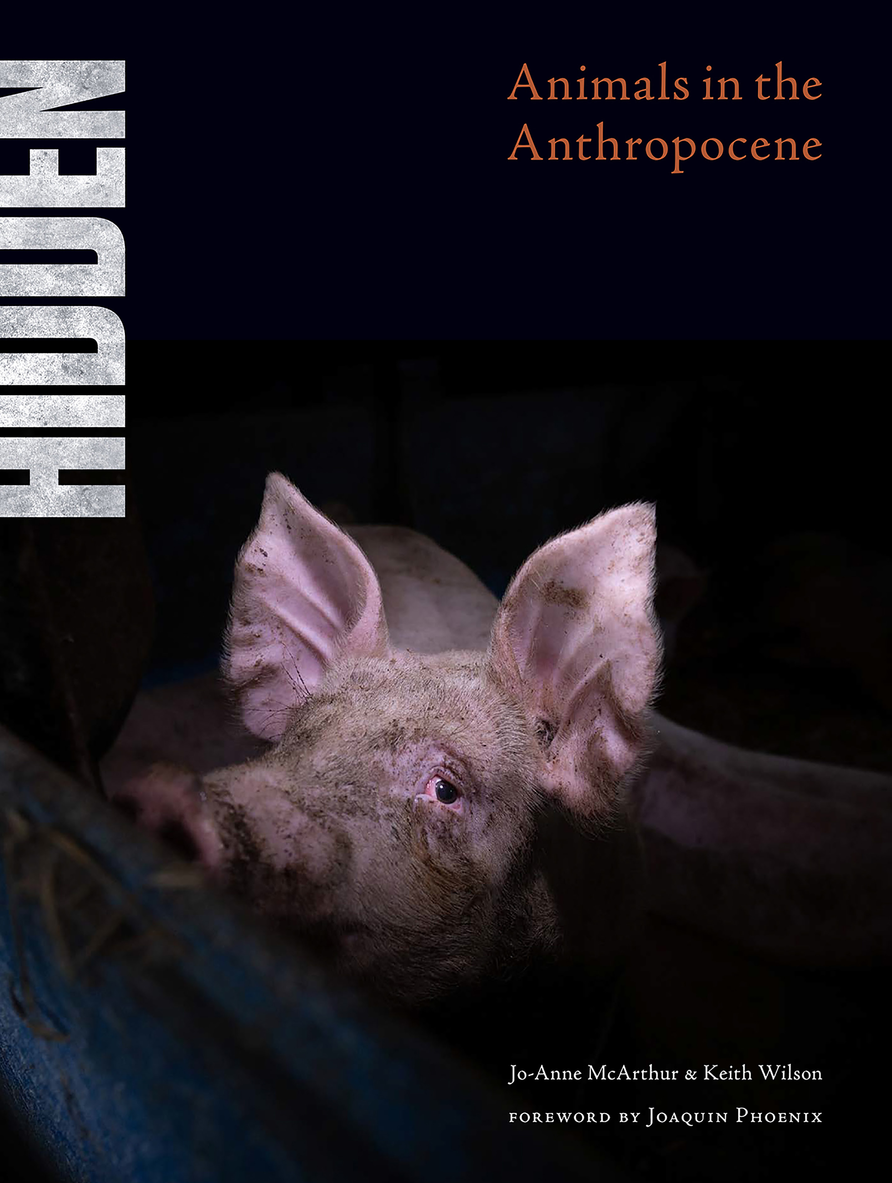 Hidden: Animals in the Anthropocene EPUB