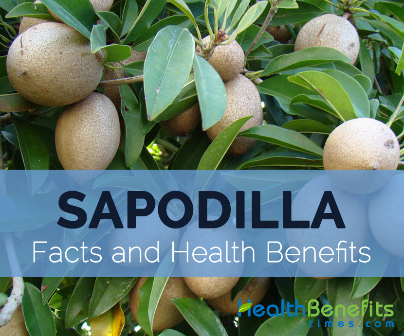 Sapodilla-facts-and-health-benefits