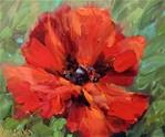 Crescendo Poppy and Painting Under the Tuscan Sun - Flower Paintings by Nancy Medina - Posted on Friday, April 10, 2015 by Nancy Medina