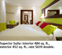Superior Suite