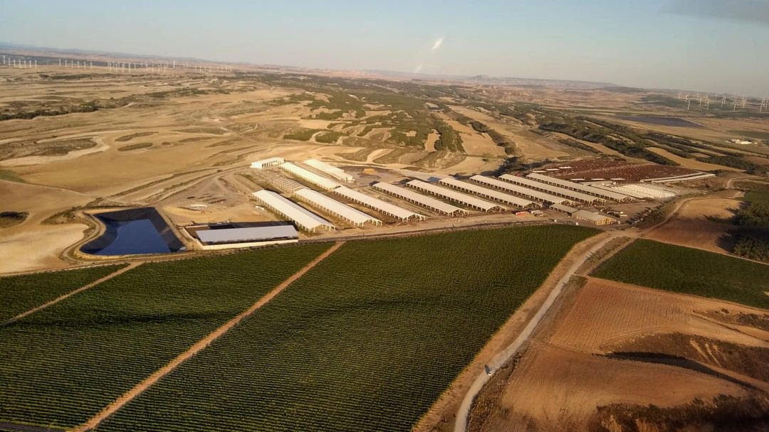 Caparroso desde el aire -
                                          macrovaquería Noviercas