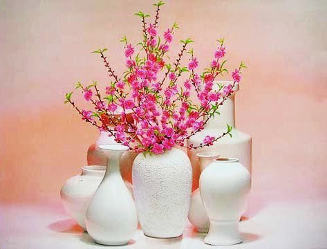http://www.dongcong.net/photogallery/Cham-Ngon_CS/cs_clip_image014.jpg
